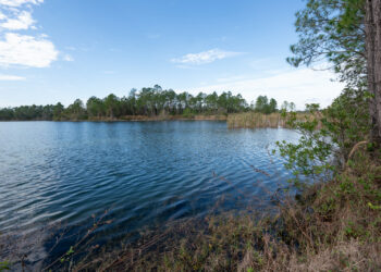 Patriots Lake spans 582 acres in Volusia County (Image courtesy of Conservation Florida)