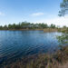 Patriots Lake spans 582 acres in Volusia County (Image courtesy of Conservation Florida)