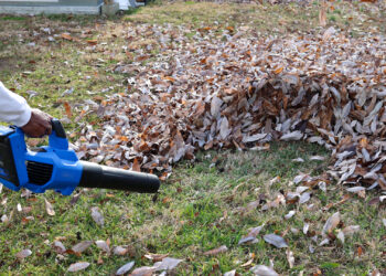 An electric leaf blower is used on a yard (iStock image)