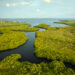 Coastal wetlands in Florida (iStock image)