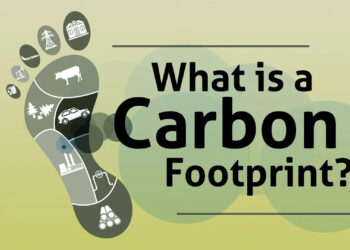 A screenshot from the bite-sized video, "What is a carbon footprint?" (FAU CES)