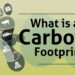 A screenshot from the bite-sized video, "What is a carbon footprint?" (FAU CES)