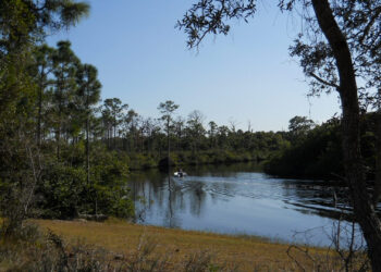 The Loxahatchee River at Jonathan Dickinson State Park (Stephen B Calvert Clariosophic, CC BY-SA 3.0, via Wikimedia Commons)