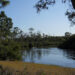 The Loxahatchee River at Jonathan Dickinson State Park (Stephen B Calvert Clariosophic, CC BY-SA 3.0, via Wikimedia Commons)