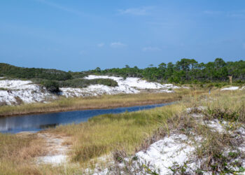 Topsail Hill Preserve State Park (Alexander Hatley, CC BY 2.0, via Wikimedia Commons)