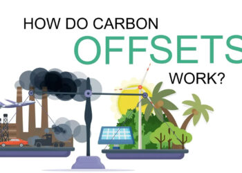 A screenshot from the video, "How do carbon offsets work?" (FAU CES)