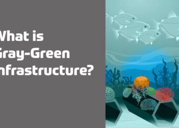 A screenshot from the bite-sized video, "What is gray-green infrastructure?" (FAU CES)