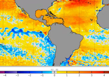 A map of sea surface temperature anomalies shows cooling along the tropical Atlantic and eastern Pacific regions, but much warmer than average temperatures in the Caribbean. (NOAA Coral Reef Watch)