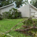 Residential tree damage. (Courtesy, Tyler Jones, UF/IFAS photography)