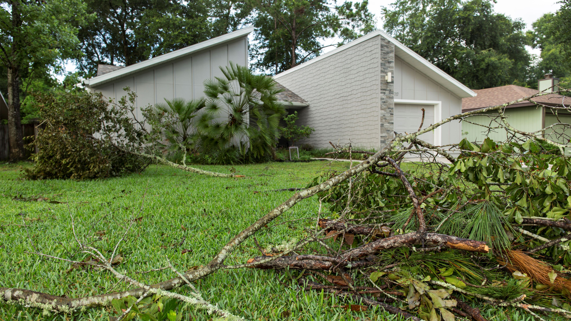 Residential tree damage. (Courtesy, Tyler Jones, UF/IFAS photography)