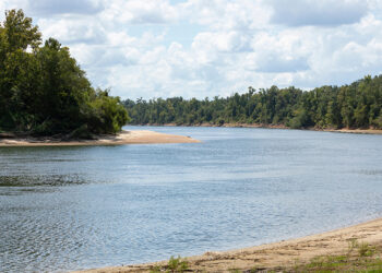 The Apalachicola River in Florida as seen looking downstream from Ocheesee Landing on Sept. 3, 2024. (Scott Holstein/FAMU-FSU College of Engineering)