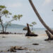 A submerged shoreline with exposed rock and fallen or dead trees on the coast of Nggatokae Island in the Solomon Islands. (Alex DeCiccio, CC BY-SA 4.0, via Wikimedia Commons)