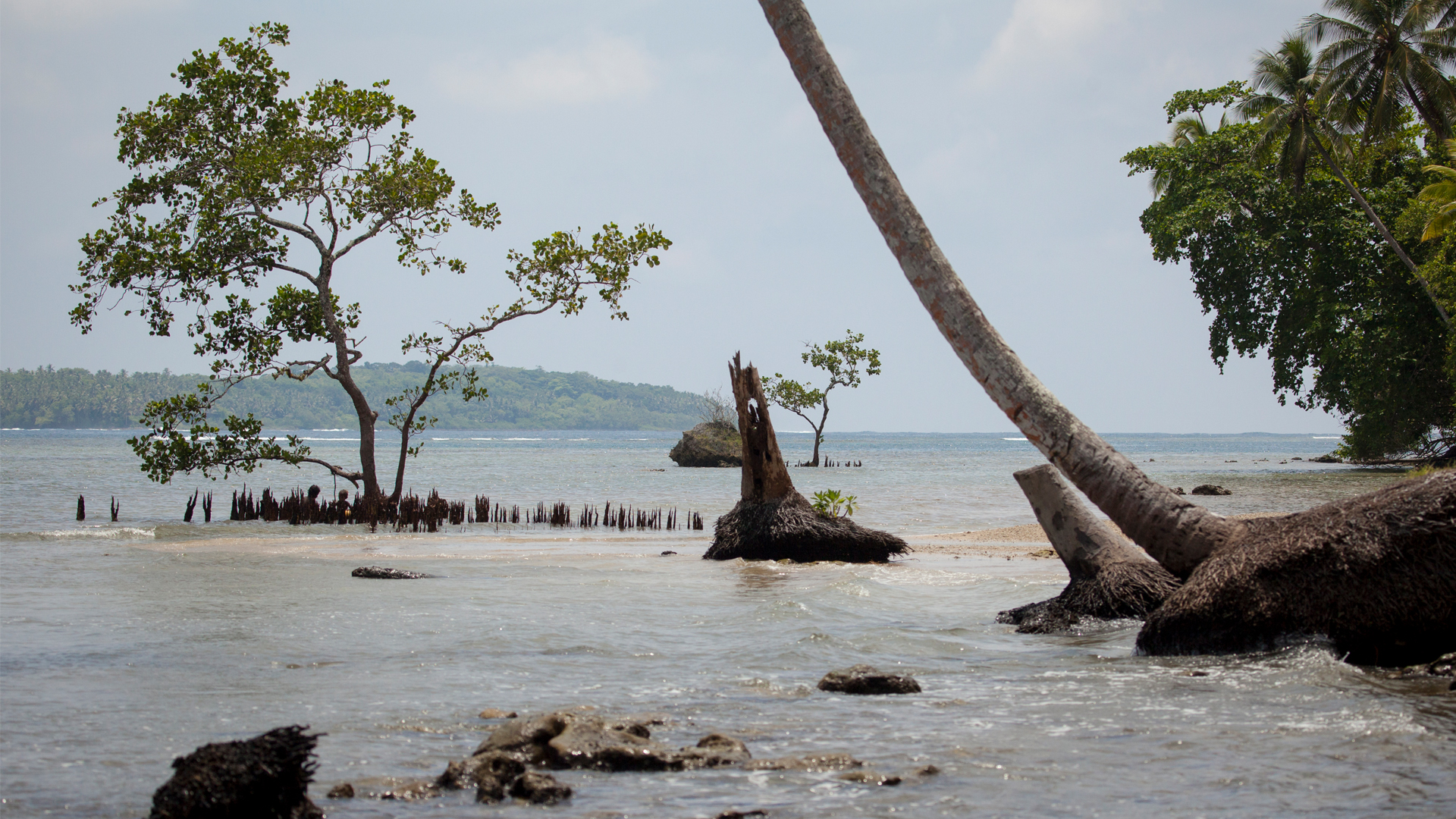 Are we too late? A teenage perspective on UN's highlevel meeting on
