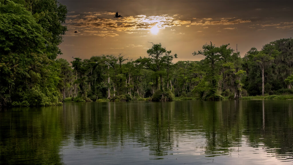 The evening sky over Wakulla Springs State Park outside Tallahassee (iStock image)