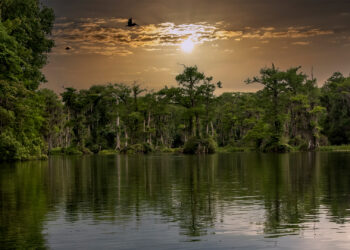 The evening sky over Wakulla Springs State Park outside Tallahassee (iStock image)