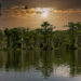 The evening sky over Wakulla Springs State Park outside Tallahassee (iStock image)