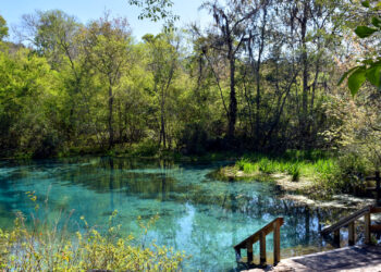 Ichetucknee Springs State Park (iStock image)