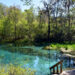 Ichetucknee Springs State Park (iStock image)