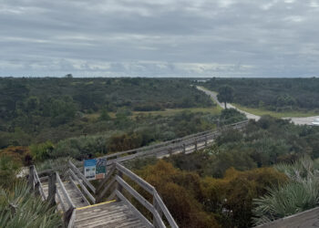 Hobe Mountain Tower at Jonathan Dickinson State Park stands on the highest natural point in South Florida (Autumn Bryan photo)