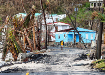 Destruction cased by Hurricane Maria in the British Virgin Islands in 2017 (Joel Rouse/MOD, OGL v1.0OGL v1.0, via Wikimedia Commons)