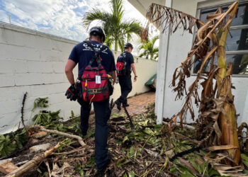 FEMA Urban Search and Rescue Colorado Task Force One conducts searches in Clearwater after Hurricane Milton. (Jocelyn Augustino/Federal Emergency Management Agency, via Defense Visual Information Distribution Service)