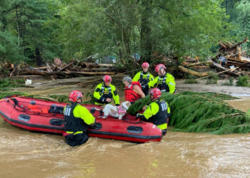Federal Emergency Management Agency search and rescue operations are conducted in Polk County, North Carolina, after Hurricane Helene. (FEMA photo, via Defense Visual Information Distribution Service)