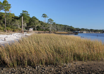 A living shoreline project on the Florida Panhandle (Florida Sea Grant/Apalachicola National Estuarine Research Reserve, CC BY-NC-ND 2.0 DEED, via flickr)