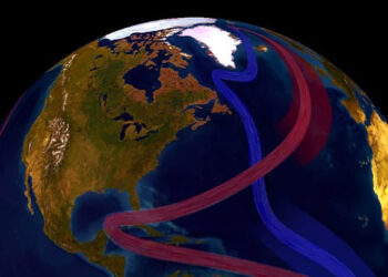 The AMOC is an oceanic circulation that transports warm, fresh water from the Equator to the North Atlantic and cold, salty water from the North Atlantic to the Equatorial region. (NOAA)