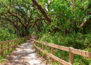 Long Key Natural Area in Davie (iStock image).