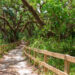 Long Key Natural Area in Davie (iStock image).