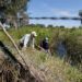 Dyllan Furness, co-owner of Furness family farms, left, and Jonael Bosques, director of UF/IFAS Extension Hardee County, near a creek on the Furness family farms in Hardee County. (Courtesy Tyler Jones, UF/IFAS photography)