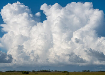 Cumulus clouds over Everglades National Park (iStock image)