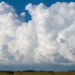 Cumulus clouds over Everglades National Park (iStock image)