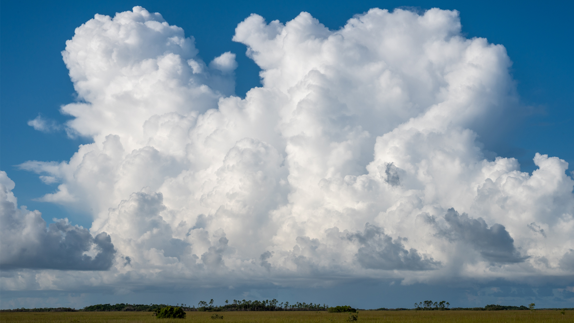 Cumulus clouds over Everglades National Park (iStock image)