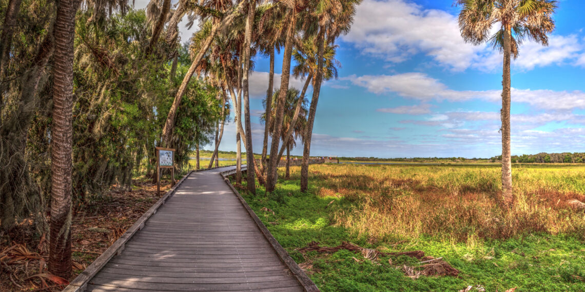 A boardwalk in Myakka State Park (iStock image)
