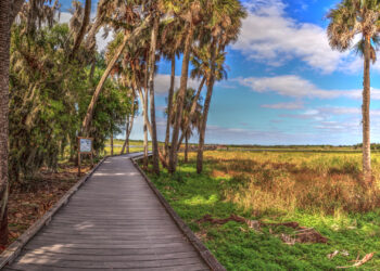 A boardwalk in Myakka State Park (iStock image)
