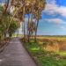 A boardwalk in Myakka State Park (iStock image)