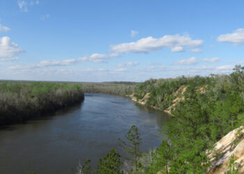 Apalachicola Bluffs and Ravines Preserve (Chris M. Morris, CC BY 2.0, via Wikimedia Commons)