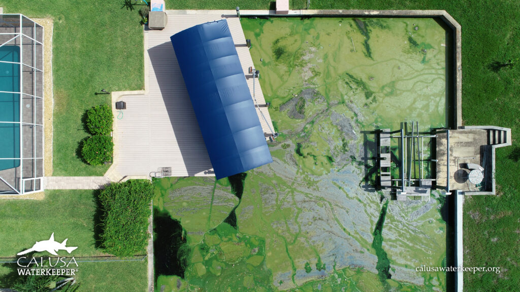 An algae bloom off the Caloosahatchee River in 2018 (Photo courtesy of Calusa Waterkeeper)