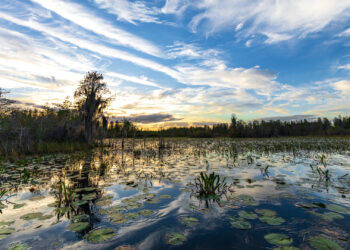 Sunset in the Okefenokee National Wildlife Refuge (iStock image)