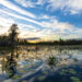 Sunset in the Okefenokee National Wildlife Refuge (iStock image)