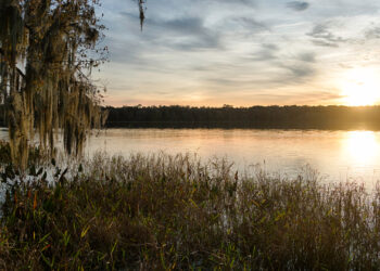 Sunset at Paynes Prairie Preserve State Park in Alachua County (iStock image)