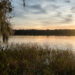 Sunset at Paynes Prairie Preserve State Park in Alachua County (iStock image)