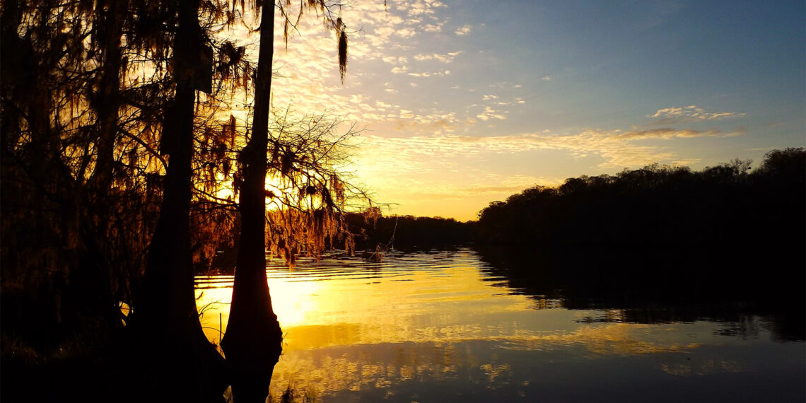 The Suwannee River as seen from Manatee Springs State Park (iStock image)