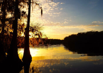 The Suwannee River as seen from Manatee Springs State Park (iStock image)