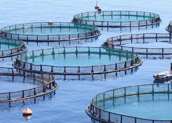 Fish farming (Asc1733, CC BY-SA 4.0, via Wikimedia Commons)