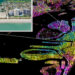 Satellite radar interferogram of Miami’s barrier islands obtained from data of the Sentinel-1 satellites and the location of the condominium in the town of Surfside that tragically collapsed in 2021 (image from Google Earth). This study combines 222 SAR images to observe coastal subsidence. (News@TheU)