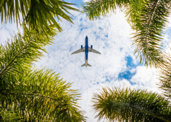 A plane flies over palm trees in Central Florida (iStock image)