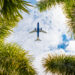 A plane flies over palm trees in Central Florida (iStock image)
