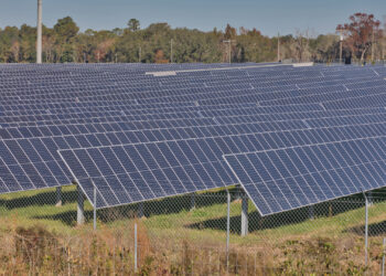 A roadside view of solar panels in Florida (iStock image)
